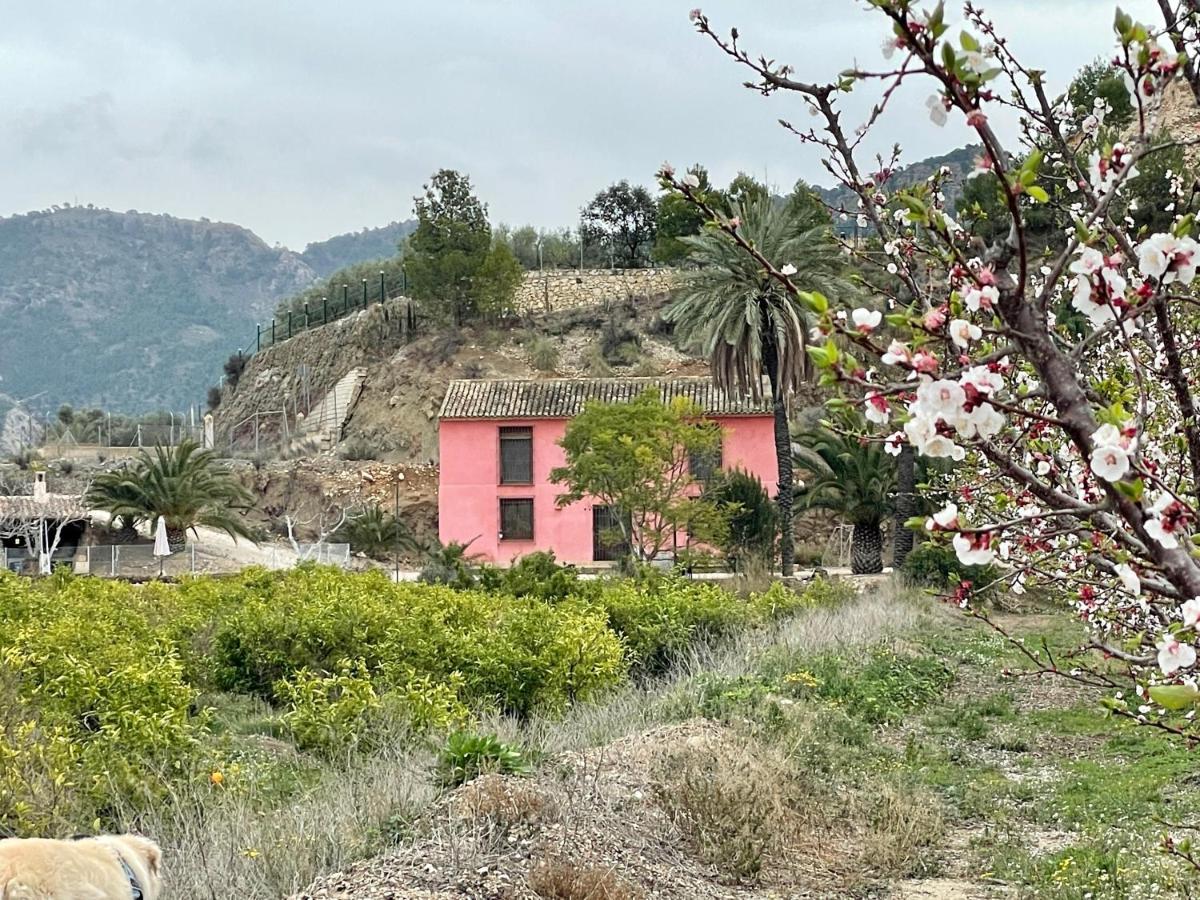 Casa Ramoncico. Finca El Campillo 블랑카 외부 사진