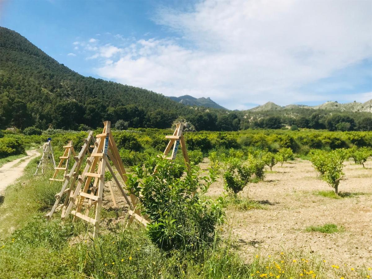 Casa Ramoncico. Finca El Campillo 블랑카 외부 사진