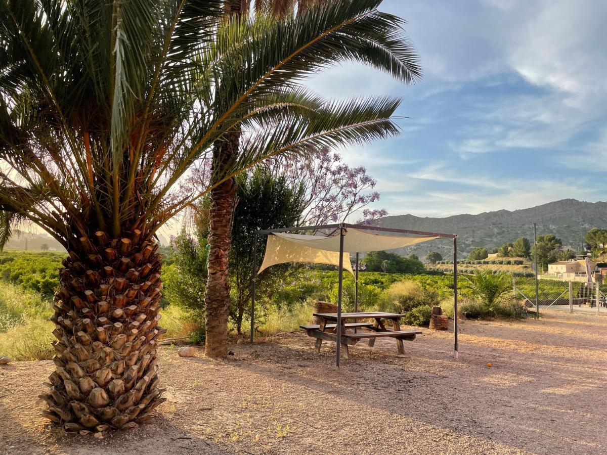 Casa Ramoncico. Finca El Campillo 블랑카 외부 사진